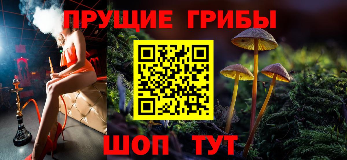 Галлюциногенные грибы Cubensis  Вход с VPN  Сосновый Бор  Псилоцибиновые грибы Cubensis 